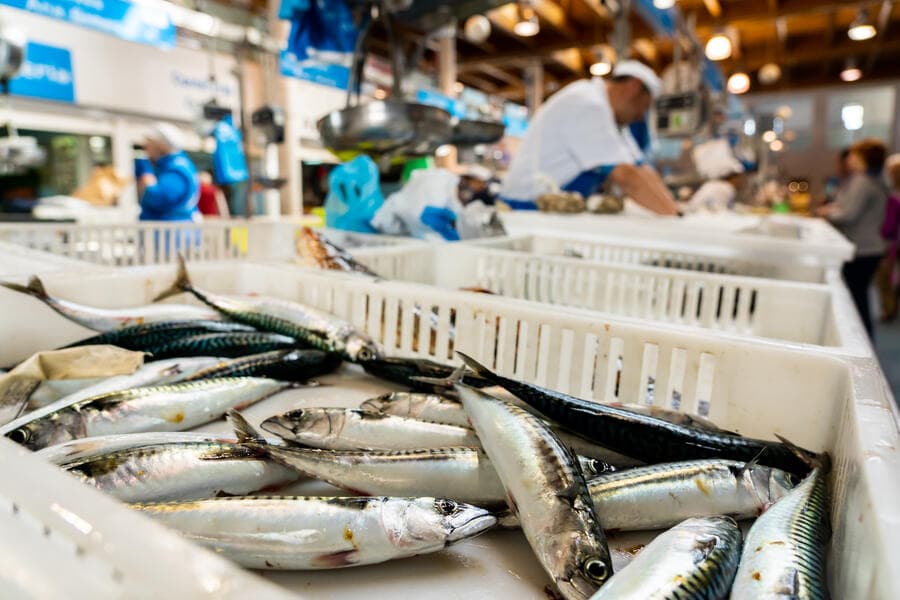 A Estrada Municipal Market