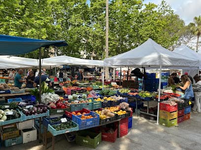 Puerto de Pollensa Street Market