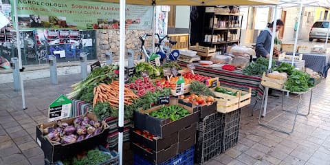 Benimaclet Agricultural Market