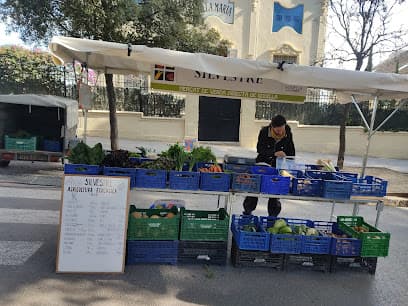 Godella Direct Sales Market