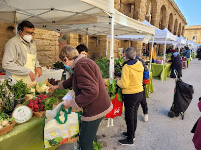 RAC Eco Market in Cádiz