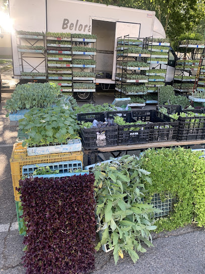 Los Carros Street Market