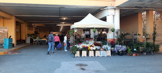 El Campello Municipal Street Market