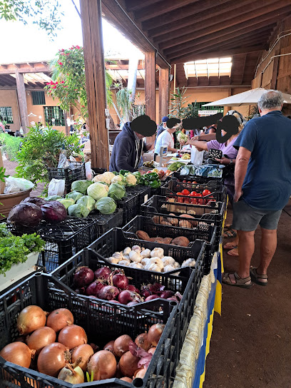 Oasis Wildlife Street Market