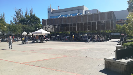 El Prat Second-hand Street Market