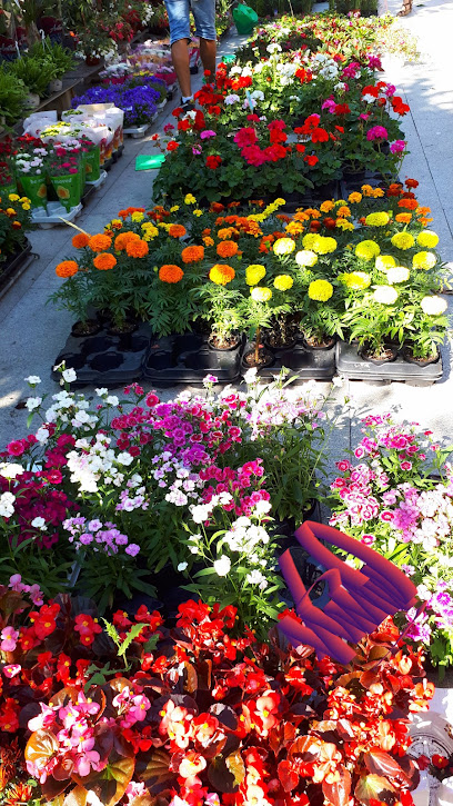 Flower Market