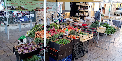 Benimaclet Agricultural Market