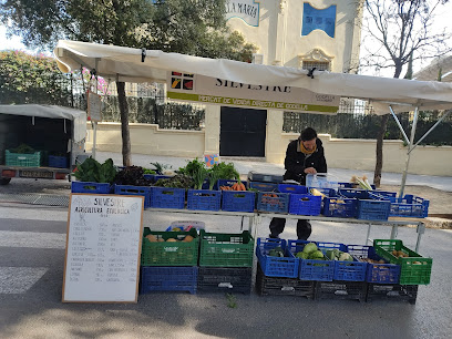 Godella Direct Sales Market